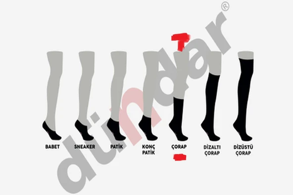 Dündar Kadın COTTON Sport Soket Çorap 4209 - 12 Adet  Karışık Renk 36 - 40 - Resim 3