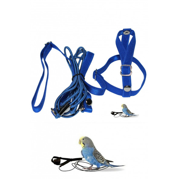 Muhabbet Kuşu Eğitim Uçurma Tasması Elastik Mavi