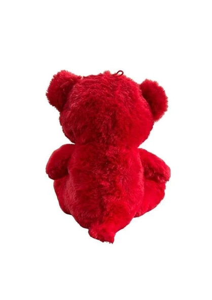 Nessiworld 30 CM AY YILDIZ TEMALI AYICIK -HLY