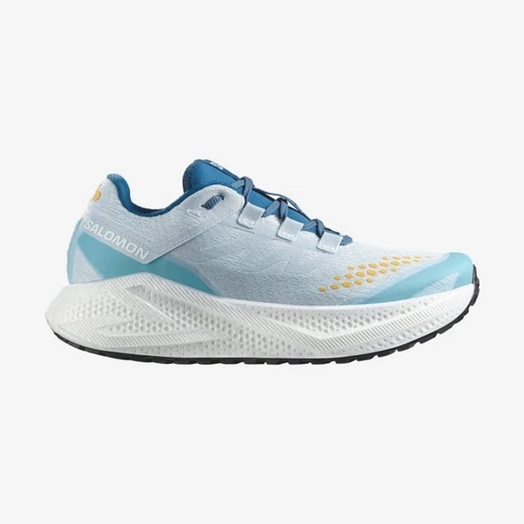 Salomon AERO GLIDE 3 GRVL Erkek Koşu Ayakkabısı L47811800