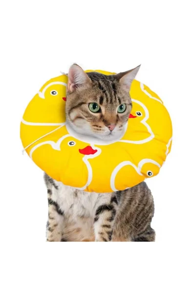 vet advice Kedi Ve Köpek Yakalığı Elizabeth Ameliyat Sonrası Koruyucu Yakalık ürün görseli 1