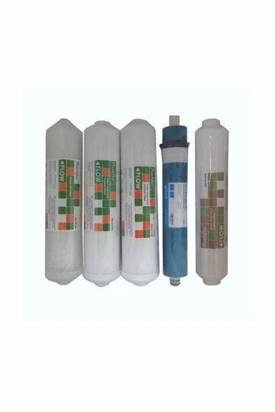 global water solutions  Nsf Onaylı Purefer Kapalı Kasa Su Arıtma Cihazlarına Uygun 5 Li Filtre Set (asitic Wash Tatlandırıcı ürün görseli 1