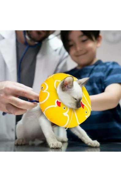 vet advice Kedi Ve Köpek Yakalığı Elizabeth Ameliyat Sonrası Koruyucu Yakalık - Resim 4