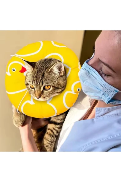 vet advice Kedi Ve Köpek Yakalığı Elizabeth Ameliyat Sonrası Koruyucu Yakalık - Resim 2