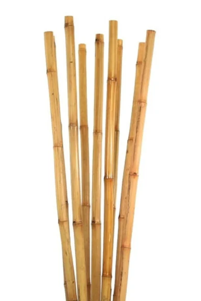 BAMBU ÇUBUK 2 METRE - 3