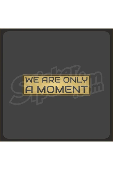 We Ara Only Moment Sticker - Resim 10