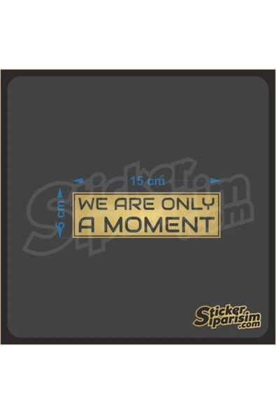 We Ara Only Moment Sticker - Resim 11