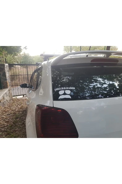 Sadece Ölüler Görür Sticker - 11