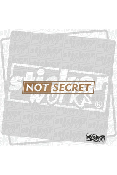 Ön Cam Not Secret Sticker - 7