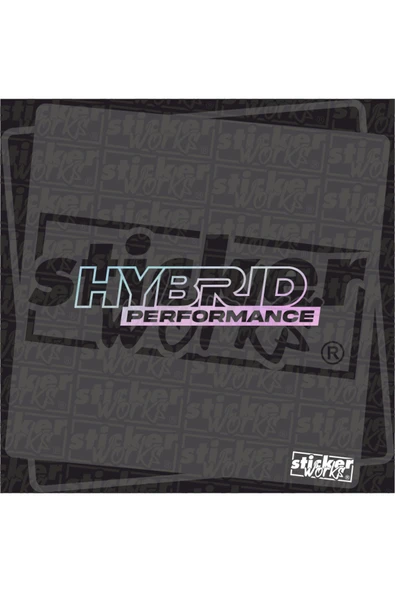 Hybrid Performance Sticker - Resim 4