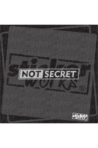 Ön Cam Not Secret Sticker - 10