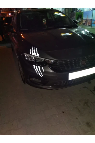 Far Pençe Hologram Sticker - 5