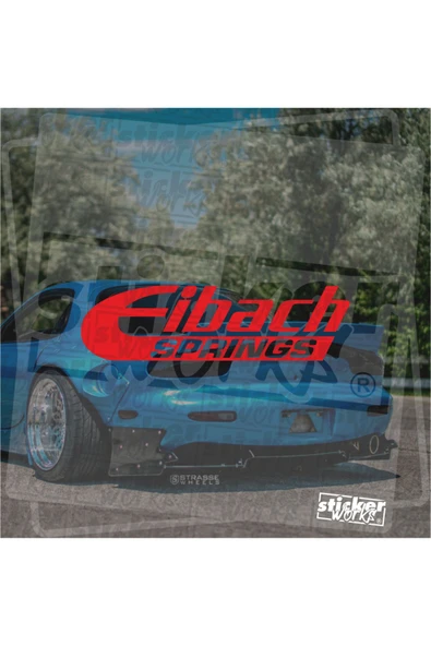 Eibach Springs Sticker