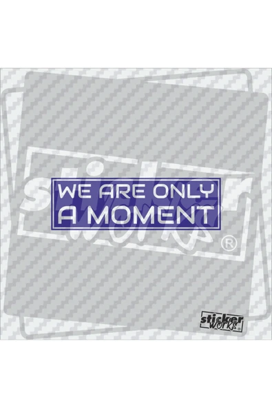 We Ara Only Moment Sticker