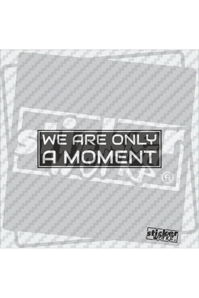 We Ara Only Moment Sticker