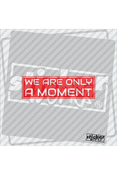We Ara Only Moment Sticker ürün görseli 1