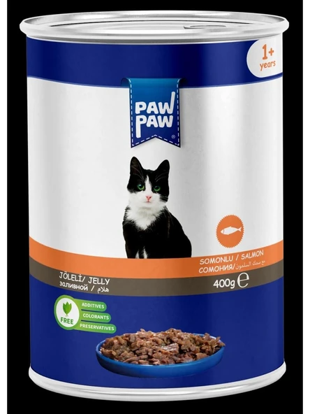 Pawpaw Joleli Somonlu Kedi Konserve 400GR 24'lü