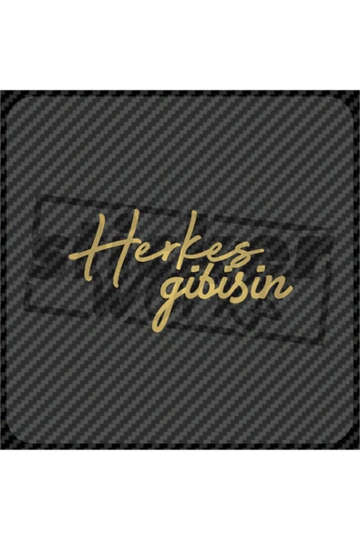 Herkes Gibisin Sticker