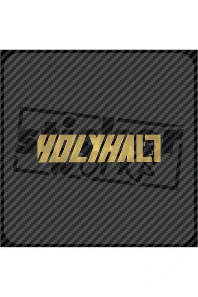 Holyhalt Sticker