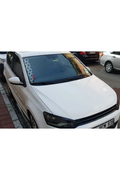 Nissan Ön Cam Petek Sticker - 2