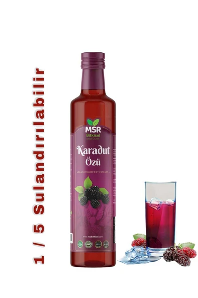 MSR BİTKİSEL DOGAL ÜRÜNLER Karadut Özü 700g