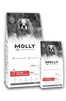 Molly Mini Adult Lamb&Blueberry 2 kg