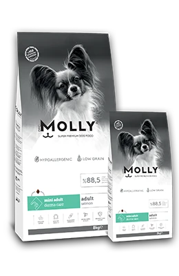Molly Mini Adult Salmon 2 kg