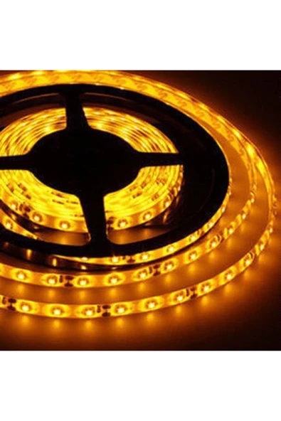 Cata  5 Metre 12 Volt 10 Çipli Dış Mekan Amber Işık Şerit Led (ct-4492)