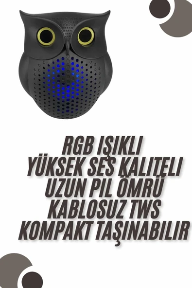 Bluetooth Hoparlör TWS Kablosuz RGB Işıklı Dekoratif Taşınabilir Baykuş - 2