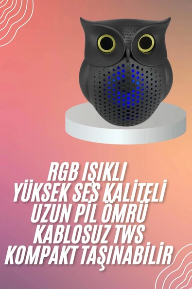 Müzik Çalar Bluetooth Hoparlör Speaker 5.0 Kablosuz Baykuş Görünümlü - 2