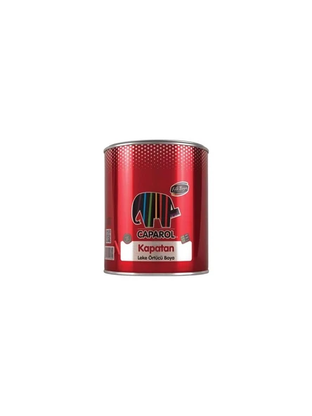 Filli Boya 0,75 LT Kapatan Yağlı Boya Beyaz
