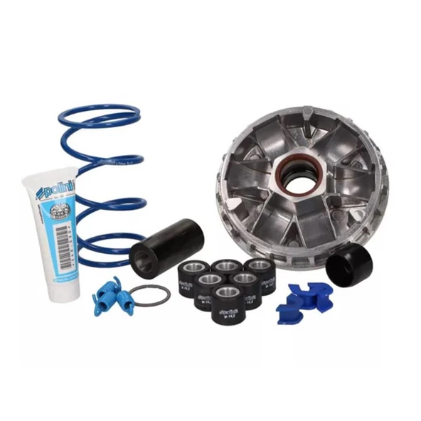 Polini Varyatör HI-SPEED SYM 300 EURO5 241.764 ürün görseli 1