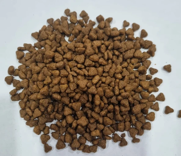 FUNNY CATS TAVUKLU YAVRU KEDİ MAMASI 15 KG - 2