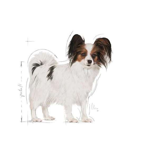 Royal Canin X Small Adult Yetişkin Köpek Maması 3 Kg - 2