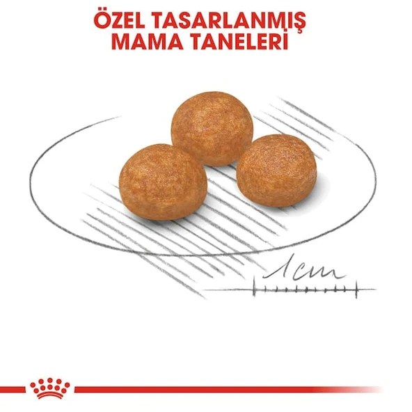 Royal Canin X Small Adult Yetişkin Köpek Maması 3 Kg - 3