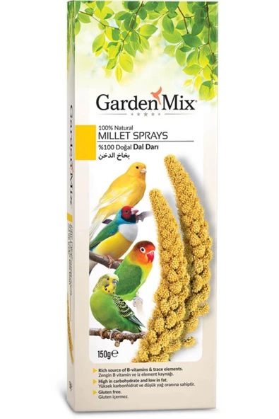 Platın Sarı Dal Darı