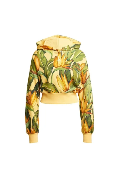 adidas Kadın  Sarı  Sweatshirt FARM HOODIE JD6282