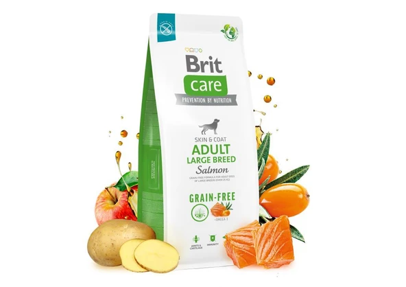 Brit Care Skin & Coat Somonlu Tahılsız Büyük Irk Yetişkin Köpek Maması 12kg - Resim 2
