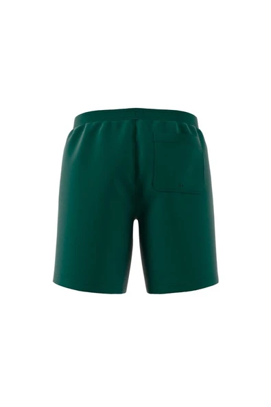 adidas Erkek  Yeşil  Deniz Şortu ADIC SOLID 8INC JG1049 - 12