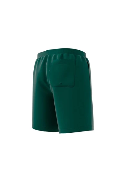 adidas Erkek  Yeşil  Deniz Şortu ADIC SOLID 8INC JG1049 - 11