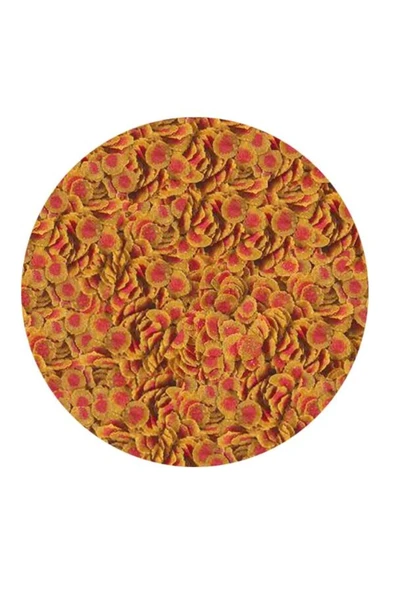 Pro Colour Kova 2,1 Kg - 2