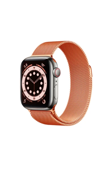 Apple Watch Metal Örgülü 38/40/41 Mm Kordon