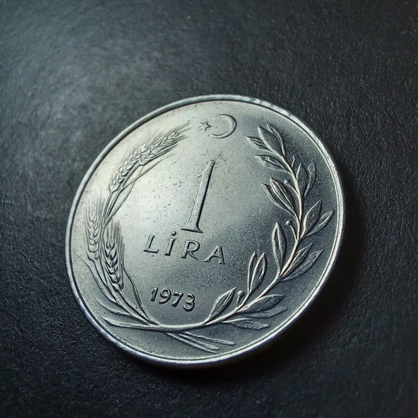 Escoines Koleksiyon 39963680159abbdfa1 1973 Akmonital 1 Lira ÇT/ÇÇT+ Eski Madeni Para - 2