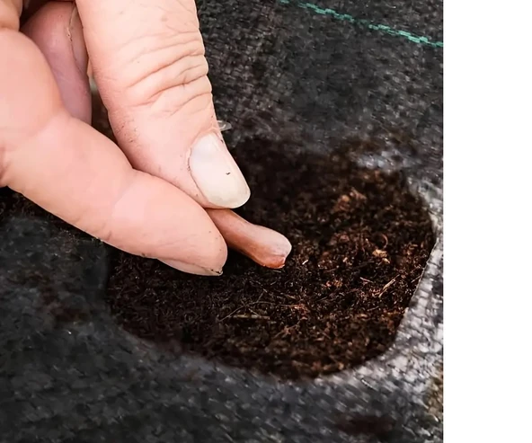 KENPAZAR Yabani Ot Bariyer Matı - 4