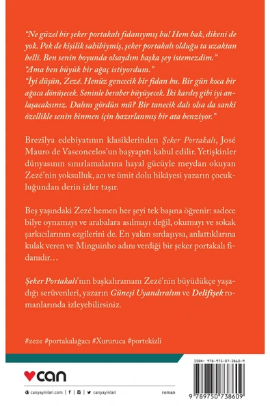 ŞEKER PORTAKALI - 2