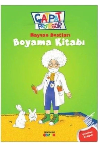 Çatpat Profesör Hayvan Dostları Boyama Kitabı | Hasan Nihat Sütçü ürün görseli 1