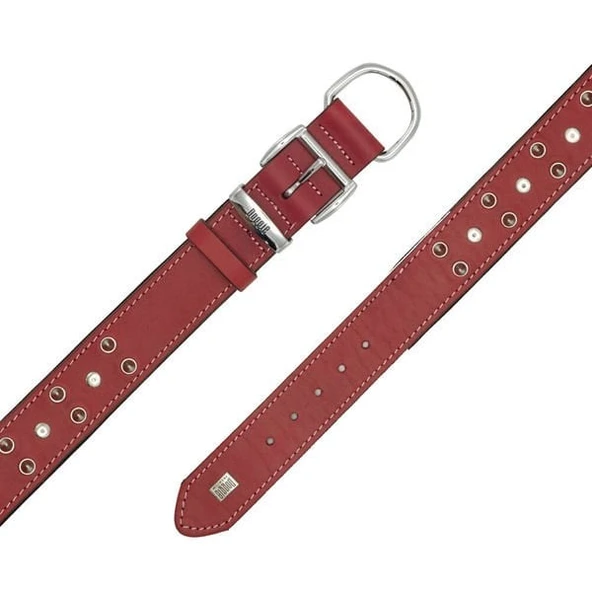 Doggie Comfort Deri Çivili Köpek Boyun Tasması Small Kırmızı 4x47-55 Cm - 5
