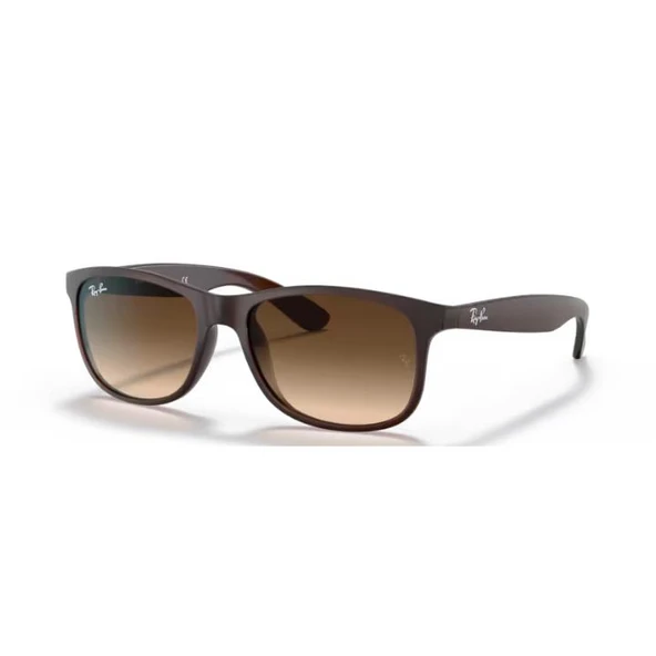 Ray-Ban  0RB4202 60731355 Enjeksiyon Erkek Güneş Gözlüğü