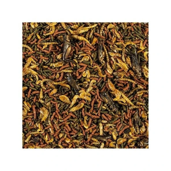 Tropical Softline Carnivore Büyük Yırtıcı Balıklar için Çubuk Balık Yemi 1000 Ml 320 Gr - 3