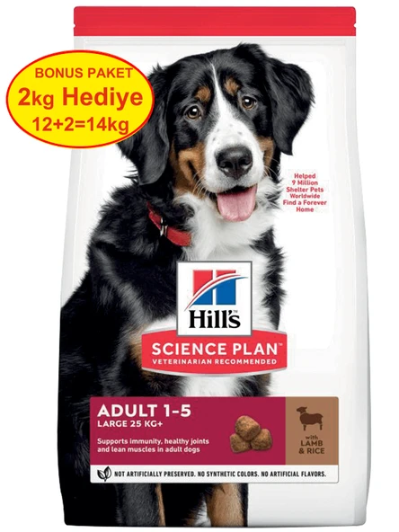 Hills Büyük Irk Kuzu Etli Yetişkin Köpek Maması 12+2 Kg Hediyeli